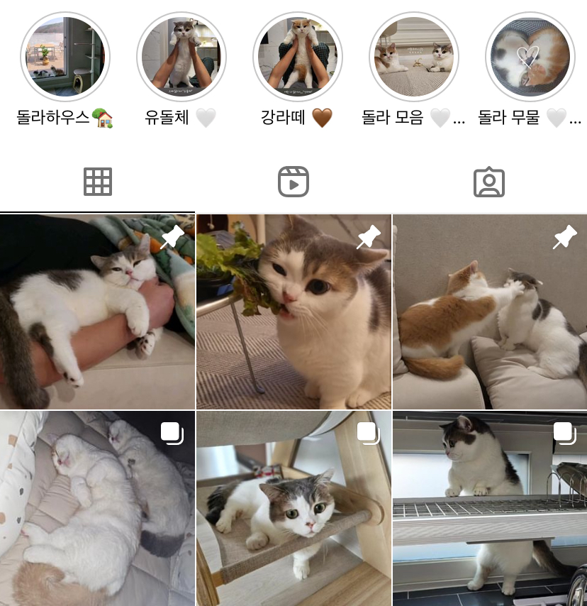 인스타 팔로워 늘리기 무료로 늘리는 떡상 방법 8가지 3 인스타 팔로우 늘리는법 이미지