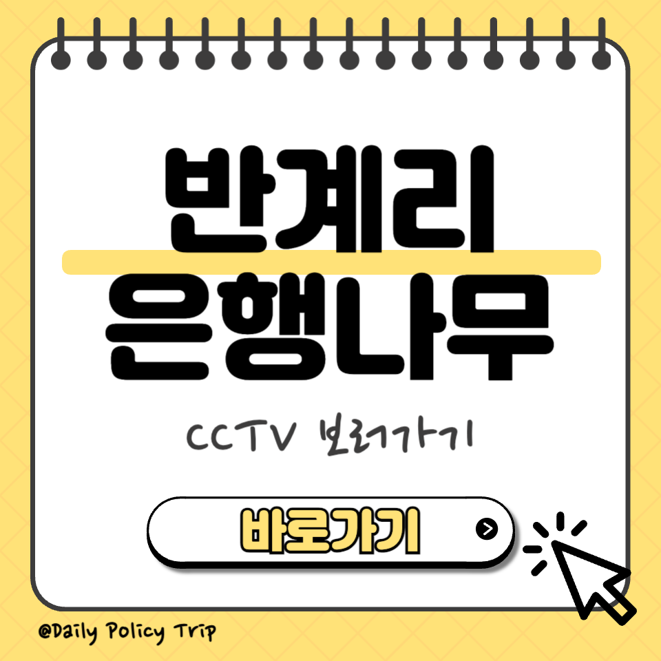 반계리 은행나무 cctv 썸네일